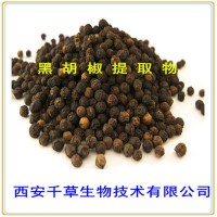 黑胡椒浸膏粉專業(yè)按需定制濃縮低溫烘焙干燥性味純正易溶