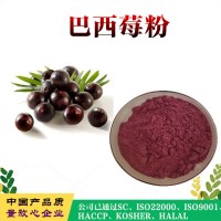 巴西莓粉  阿薩伊果粉