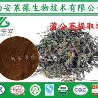 蒲公英提取物,蒲公英黃酮,蒲公英濃縮粉,蒲公英生粉