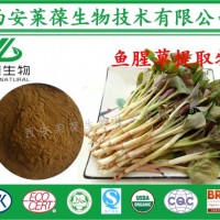 魚腥草提取物,魚腥草粉,魚腥草生粉,折耳根粉,魚腥草濃縮粉