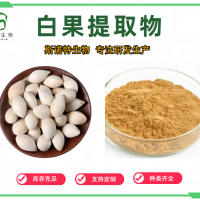 白果提取物 白果粉 濃縮 噴霧干燥 免費(fèi)拿樣 斯諾特