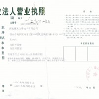柿?N提取物，柿子葉提取物