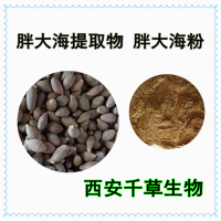 胖大海水溶粉胖大海濃縮浸膏干膏胖大海提取物