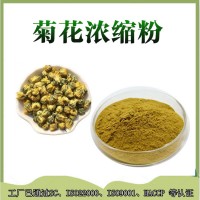 菊花提取物  菊花濃縮粉