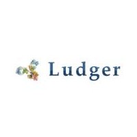 Ludger多糖分析糖標記標準品惠誠生物優勢供應
