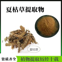 夏枯草提取物  夏枯草濃縮粉