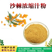 沙棘粉  沙棘濃縮果汁粉