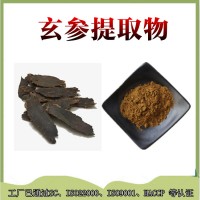 玄參提取物  玄參浸膏