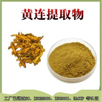 黃連提取物  黃連浸膏