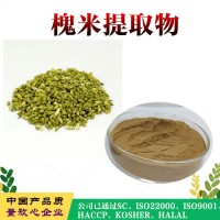 槐米提取物  蘆丁  含量95%