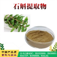 石斛提取物  石斛濃縮粉