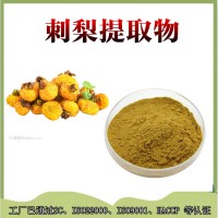 刺梨提取物   刺梨粉