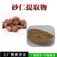 砂仁提取物  砂仁浸膏