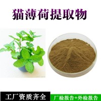 荊芥提取物  貓薄荷提取物