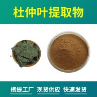 杜仲葉粉 杜仲葉提取物 綠原酸 水溶性粉末