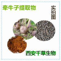 牽牛子提取物 西安千草生物供應植物提取物 定做流浸膏