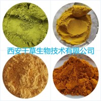 筋骨草提取物 植物提取物定做濃縮浸膏