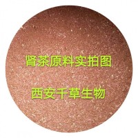 腎茶提取物 西安千草供應(yīng)植物提取物定做濃縮浸膏