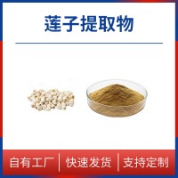 蓮子粉 蓮子提取物 水溶性粉末 多種規格 支持定制