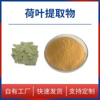 荷葉粉 荷葉提取物 荷葉堿 水溶性粉末 多種規格 支持定制