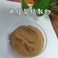 魚腥草提取物  魚腥草浸膏