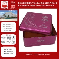 廣東深圳9個裝冰皮月餅方形馬口鐵盒包裝定制工廠