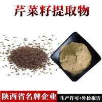 芹菜籽提取物  芹菜籽濃縮粉