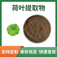 荷葉粉 荷葉提取物 荷葉堿 支持定制 水溶性粉末 多種規格