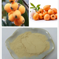 枇杷果粉  枇杷果濃縮汁粉