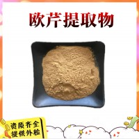 歐芹提取物  歐芹濃縮粉
