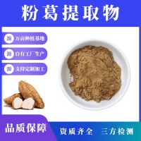 粉葛提取物 粉葛粉 支持定制 水溶性粉末 多種規(guī)格