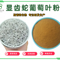 顯齒蛇葡萄葉粉 藤茶粉 莓茶粉 SC工廠(chǎng) 斯諾特 食品級(jí)