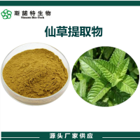 仙草提取物 水溶性仙草濃縮粉 斯諾特生物供應