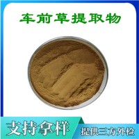 車前草提取物