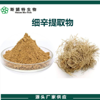細辛提取物 水溶性細辛濃縮粉 斯諾特生物供應