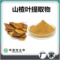 山楂葉提取物 水溶性山楂葉黃酮 斯諾特生物供應(yīng)