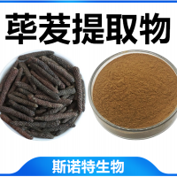 蓽茇提取物 水溶性蓽茇濃縮速溶粉 植提廠家供應