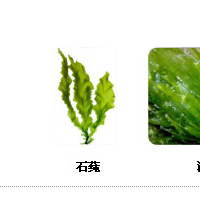 石莼多糖Elicityl惠誠生物優勢供應