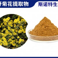 野菊花提取物 SC廠家生產(chǎn)野菊花粉