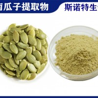 南瓜子提取物 噴霧干燥南瓜子粉 南瓜籽粉