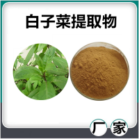 白子菜提取物 水溶性白子菜速溶粉 斯諾特生物