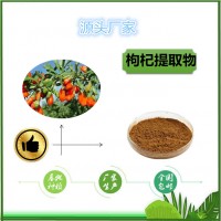 寧夏枸杞粉現貨包郵SC源頭廠家枸杞提取物 枸杞果粉