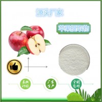 蘋果醋提取物水溶性好天瑞源頭廠家蘋果醋粉