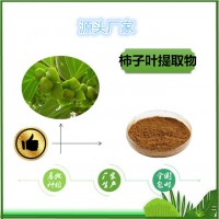 柿子葉提取物天瑞包郵柿子葉黃酮柿子葉粉