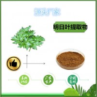 明日葉提取物10:1現貨包郵明日葉速溶粉