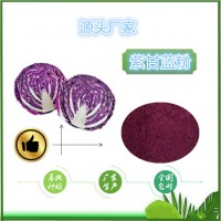 紫甘藍粉現貨天瑞包郵果蔬粉全水溶