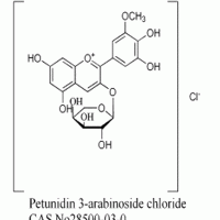 矮牽牛素-3-O-阿拉伯糖苷惠誠生物供應