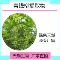 青錢柳提取物天瑞生物現(xiàn)貨