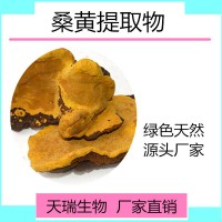 桑黃提取物 桑黃粉天瑞生物 一公斤起訂