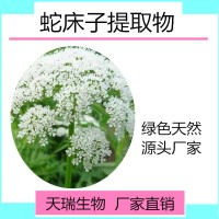 蛇床子提取物10:1 天瑞生物 一公斤起訂